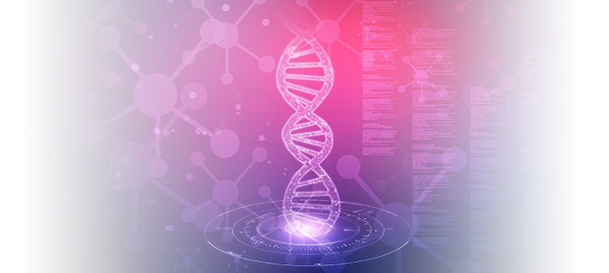 The DNA of a High Converting VSL