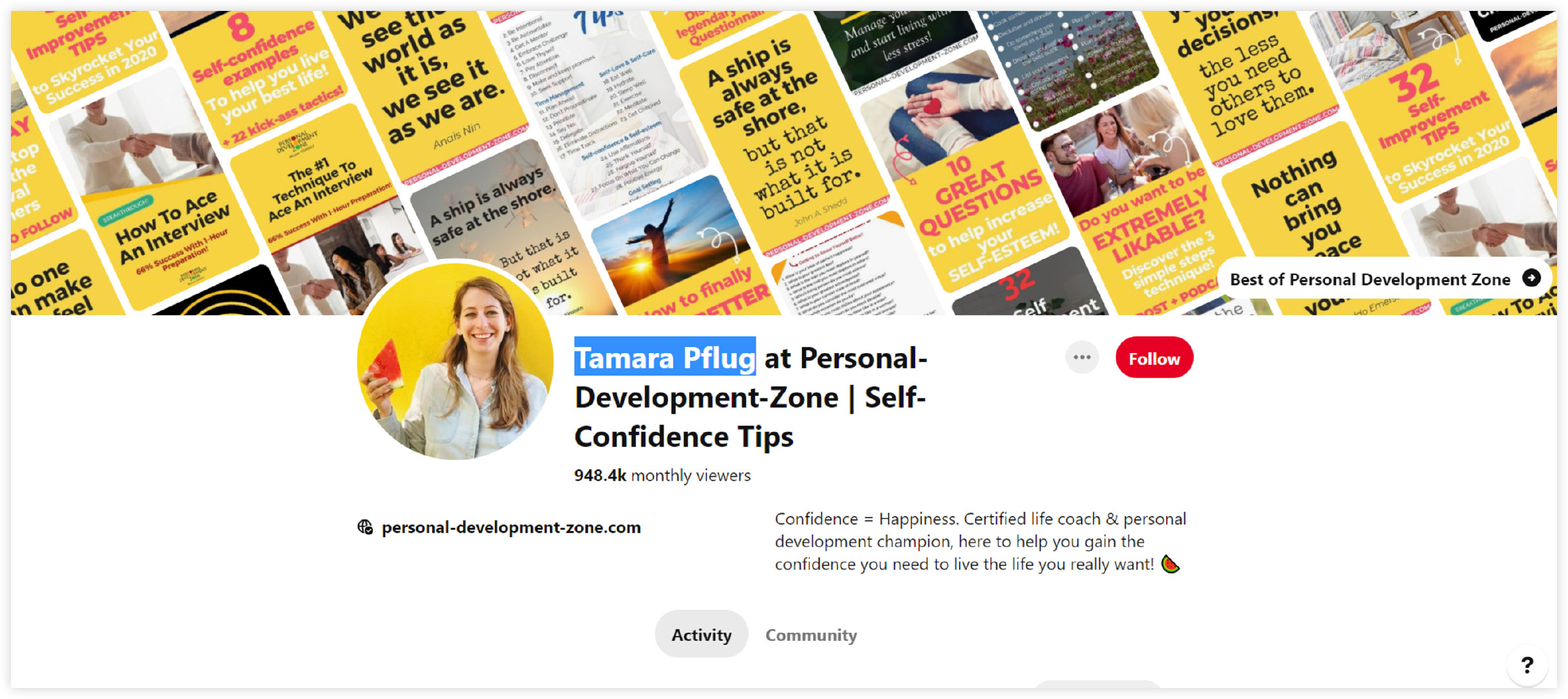 tamara pflugs pinterest profile page
