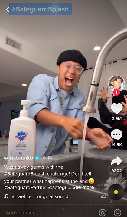 safeguard and michael le collaboration on tiktok