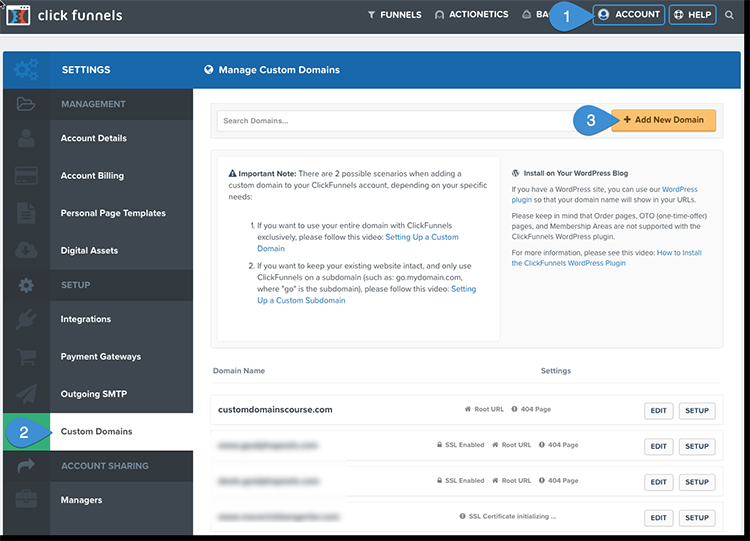custom domain setup