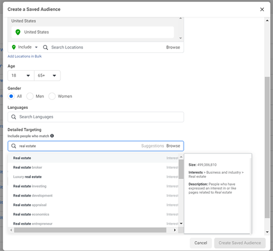 audience setup for facebook advertisement