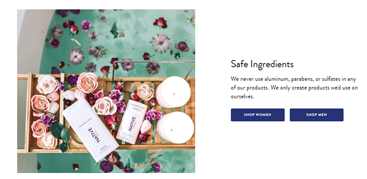 Ecommerce website homepage, call to action with an emphasis on safe ingredients.