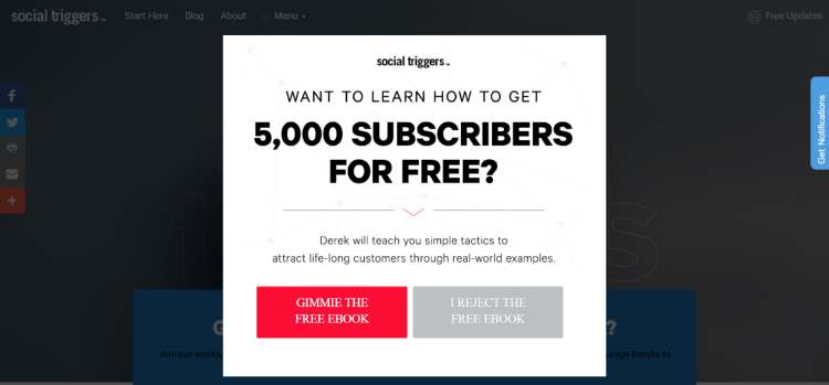 Exit intent opt-in pop up example.