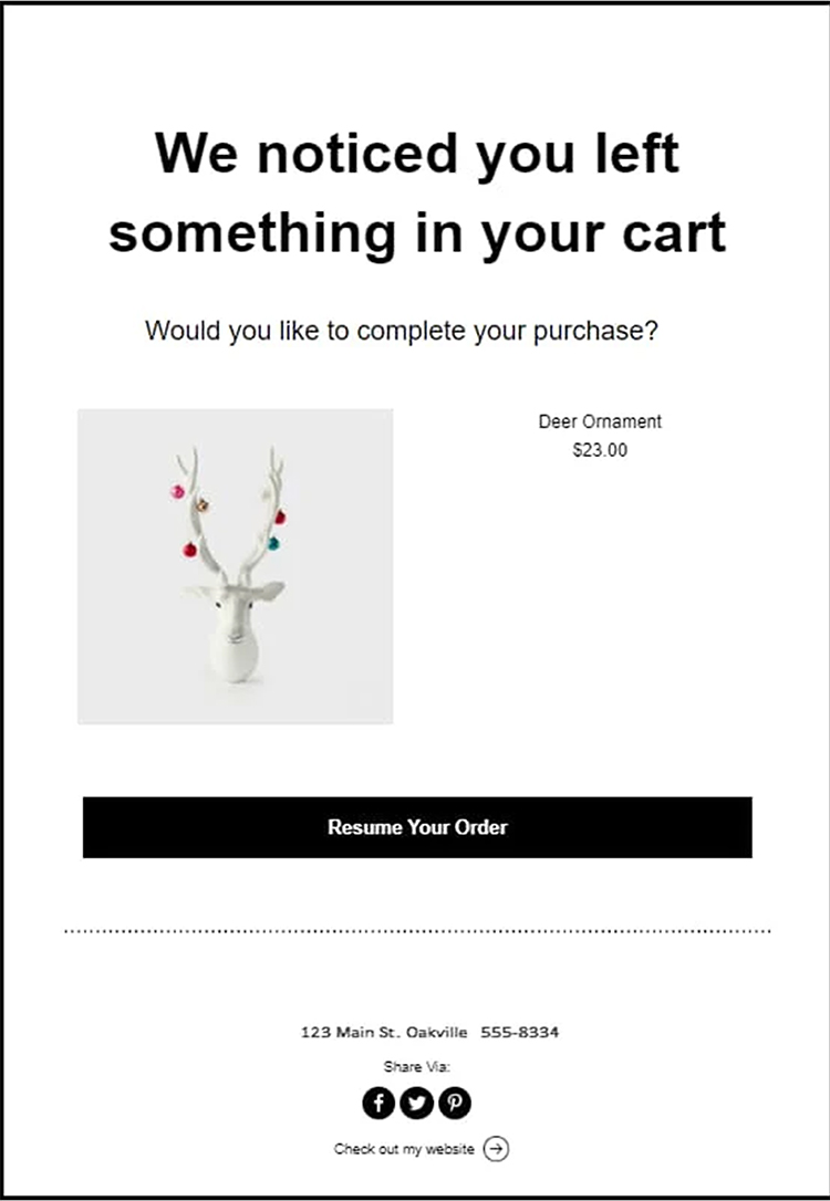 Ecommerce abandoned cart follow-up email reminder example.