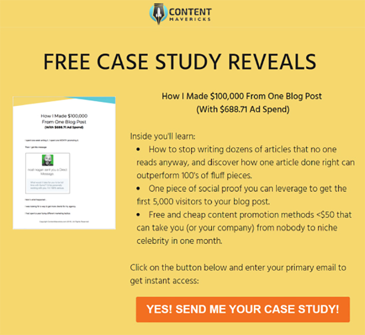 Free case study, lead magnet example. 