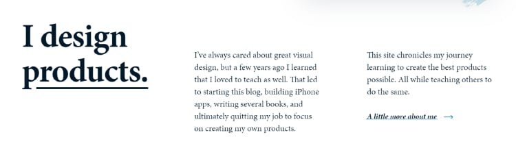 Squeeze Page as a Homepage below the fold additional information.