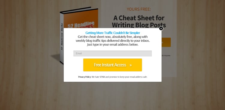 Squeeze Page as a Separate Page, 2-step squeeze page.
