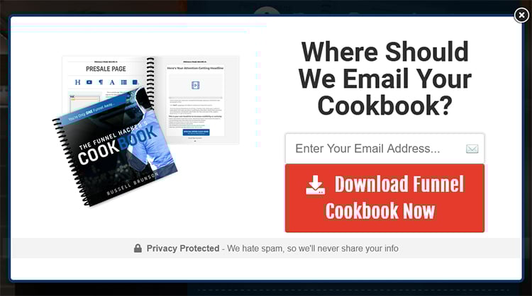 Lead Magnets, free download email request example.