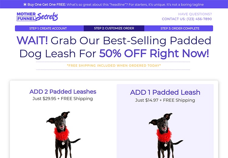 Tripwire Funnel, one time offer page example.