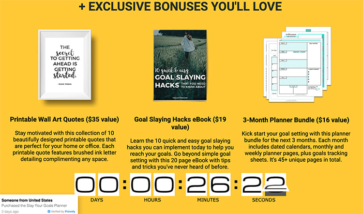 Examples of the Offer, bonuses. 
