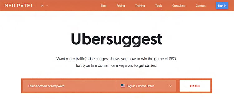 Best Tools For Finding Lead Magnet Ideas, Ubersuggest