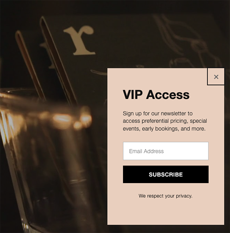 A VIP Access newsletter sign-up form with fields for an email address and a subscription button, promising preferential pricing, special events, early bookings, and more.