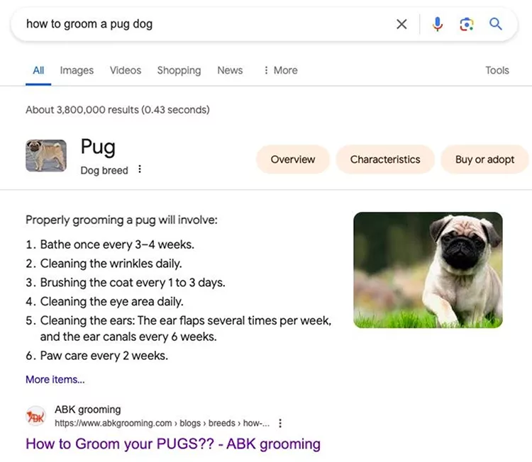 Screenshot of Google search results for "how to groom a pug dog" showing text instructions and a webpage about grooming pugs.