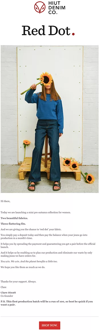 A person in blue sweater and flared jeans holds a sunflower stem. Surrounding are sunflowers. Text introduces Hint Denim Co.'s mini collection launch, highlights features, support, limited stock, and a promo offer.