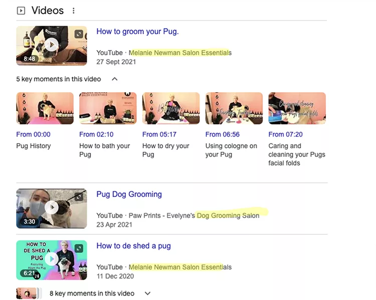 A Google search results page showing videos on grooming and shedding Pugs. Thumbnails and timestamps for YouTube videos are visible, including one titled "How to groom your Pug" by Melanie Newman Salon Essentials.