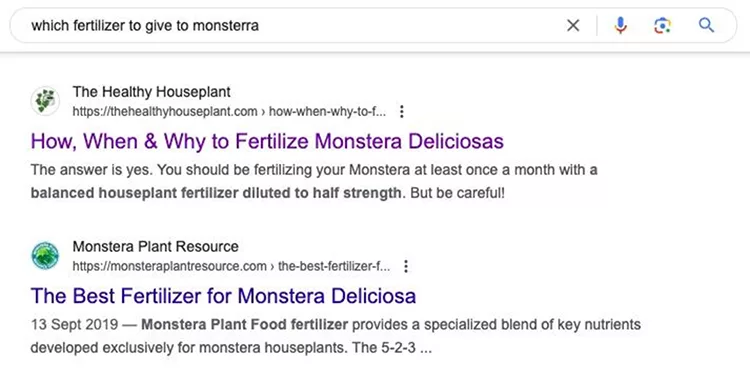 A screenshot of a search engine result page for, "which fertilizer to give to monsterra"