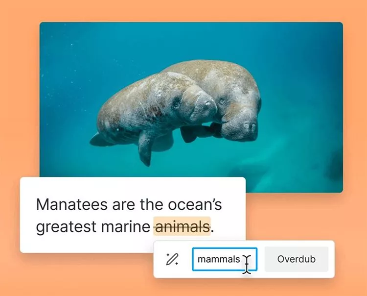 Two manatees swim underwater. The text reads "Manatees are the ocean's greatest marine animals," with the word "animals" crossed out and replaced by "mammals.