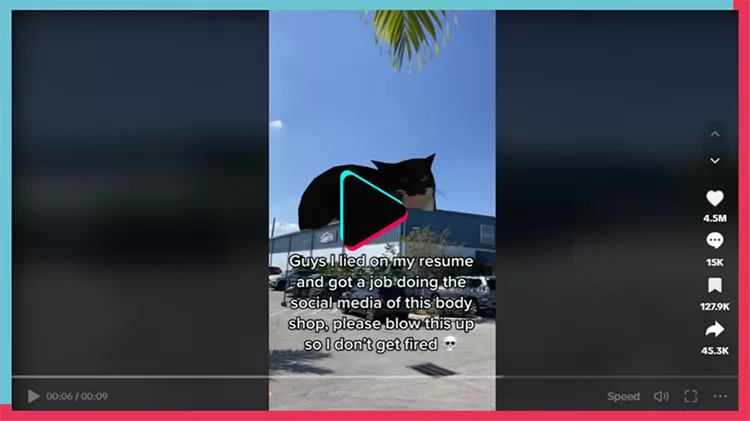 A video screen with a house, a palm tree, and a cat's face in the sky. Text overlay reads: "Guys I lied on my resume and got a job doing the social media of this body shop...